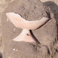 20251129_アイキャッチ